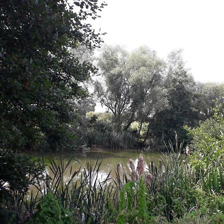 Birtsmorton Home Farm מראה חיצוני תמונה