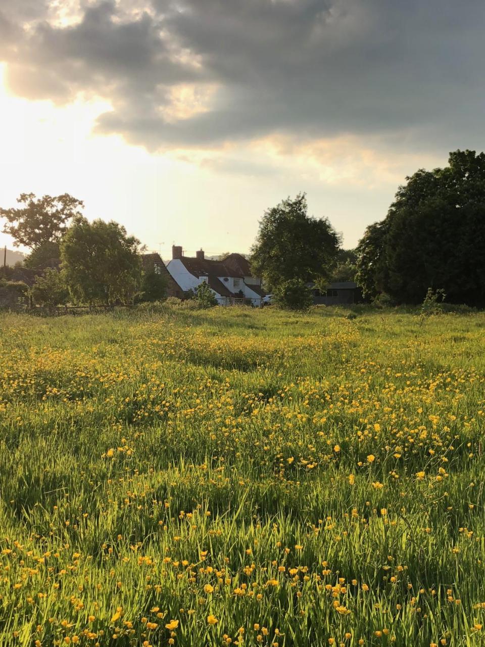 Birtsmorton Home Farm מראה חיצוני תמונה